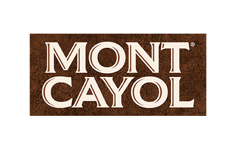 logo mont cayol footer